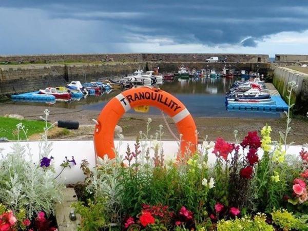 Pew With A View - Seafront Cottages Sandhaven Exterior foto